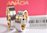 1 Paar Trauringe Hochzeitsringe Gold 585 - Bicolor - Mit Zirkonia - B: 5,3mm TOP